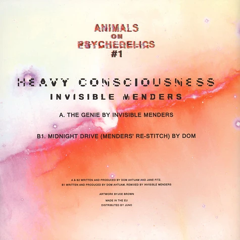 Invisible Menders - Heavy Consciousness