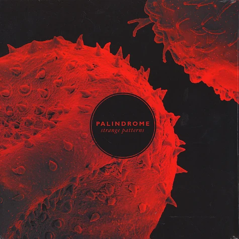 Palindrome - Strange Patterns