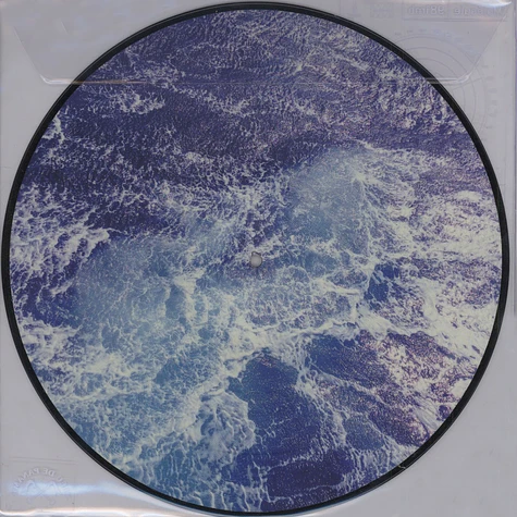 Molecule - 981 MB Picture Disc