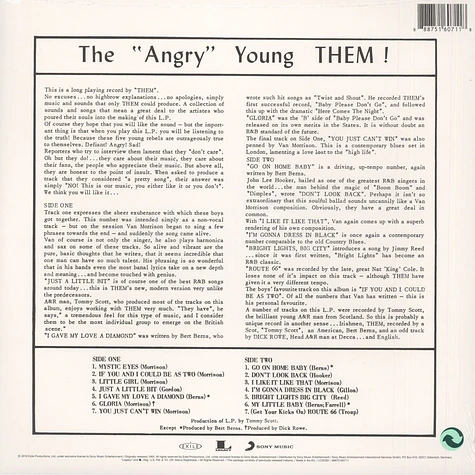 Them - The "Angry" Young Them!