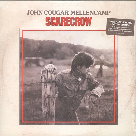 John Mellencamp - Scarecrow