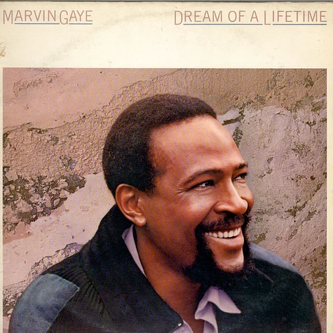 Marvin Gaye - Dream Of A Lifetime