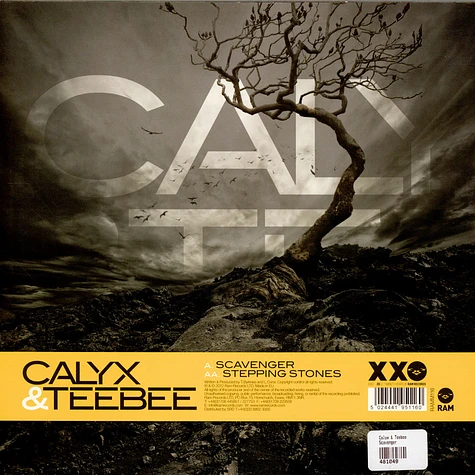 Calyx & Teebee - Scavenger / Stepping Stones