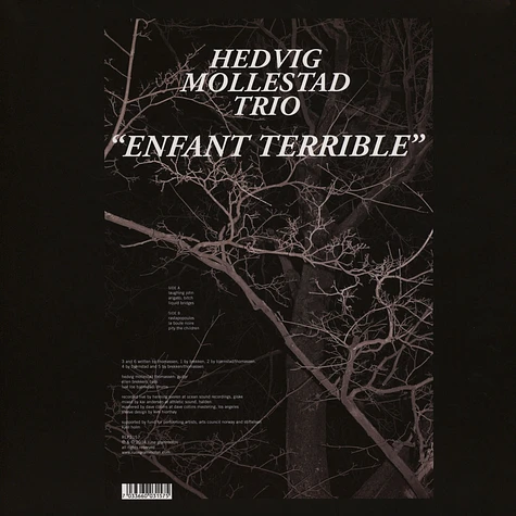 Hedvig Mollestad Trio - Enfant Terrible