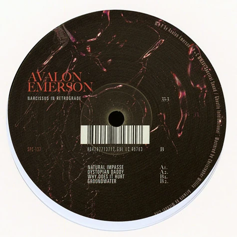 Avalon Emerson - Narcissus In Retrograde