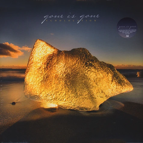 Gone Is Gone - Echolocation White Vinyl Edition