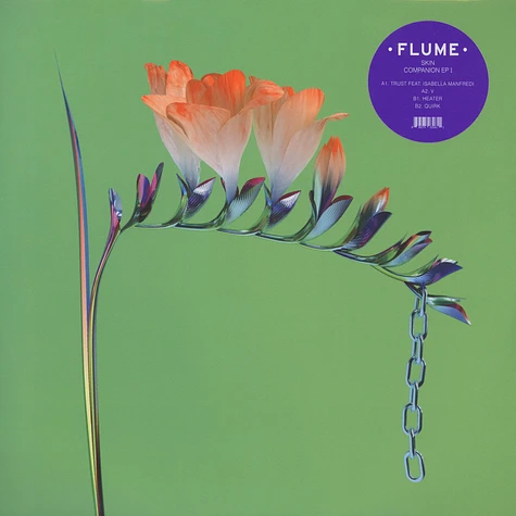 Flume - Skin Companion EP I