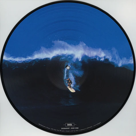 The Beach Boys - Surfin USA (Stereo & Mono) Picture Disc Edition