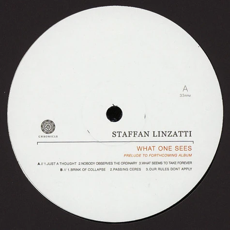 Staffan Linzatti - What One Sees