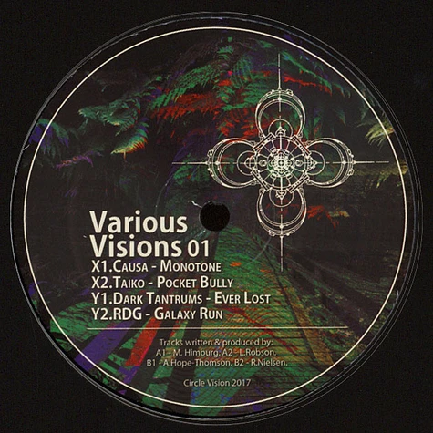 Causa / Taiko / Dark Tantrums / RDG - Various Visions 01