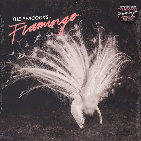 Peacocks,The - Flamingo