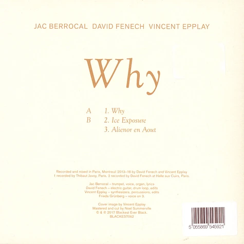 Jac Berrocal / David Fenech / Vincent Epplay - Why