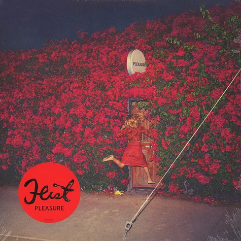 Feist - Pleasure