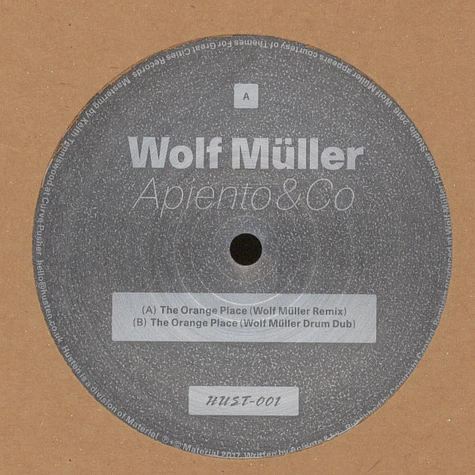 Apiento & Co - The Orange Place Wolf Müller Remixes