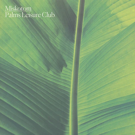 Miskotom - Palms Resort