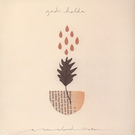 Yndi Halda - A Sun Coloured Shaker