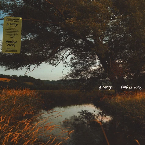 S. Carey of Bon Iver - Hundred Acres Colored Vinyl Edition