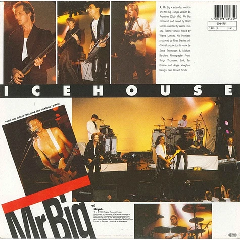 Icehouse - Mr Big