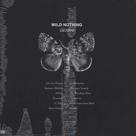 Wild Nothing - Gemini Colored Vinyl Edition