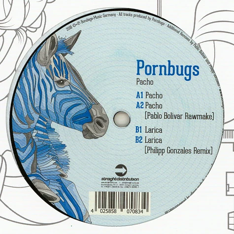 Pornbugs - Pacho