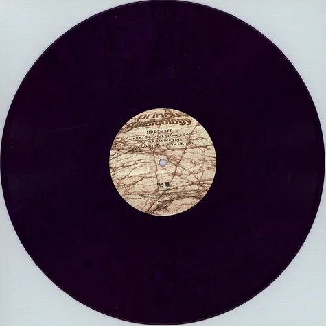 Prince - Musicology Purple Vinyl Edition