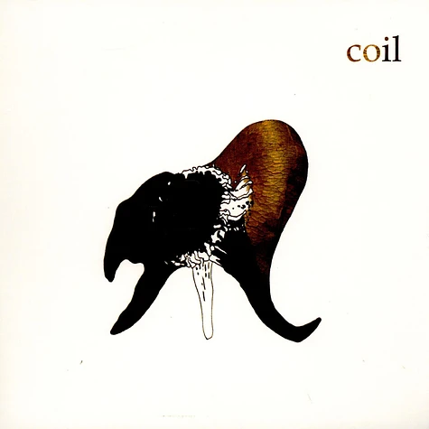 Coil - Black Antlers