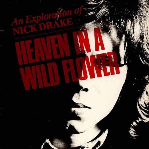 Nick Drake - Heaven In A Wild Flower - An Exploration Of Nick Drake