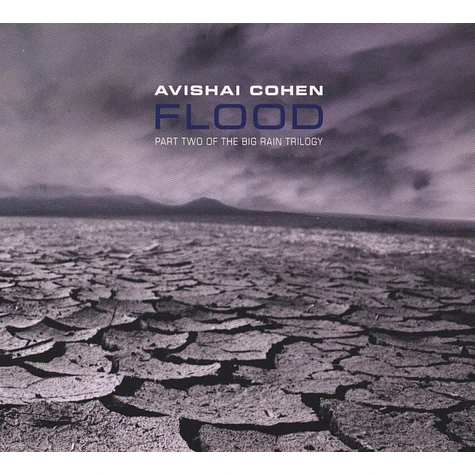 Avishai Cohen - Flood