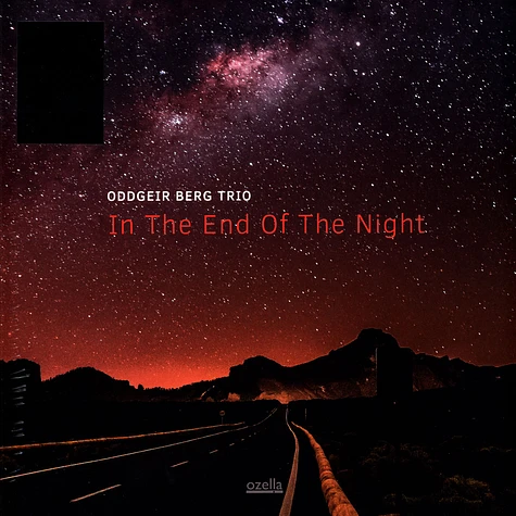 Oddgeier Berg Trio - In The End Of The Night