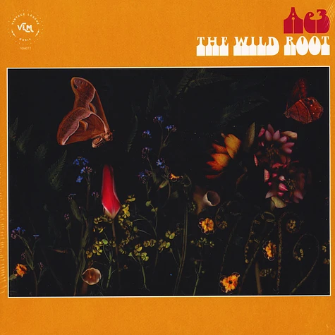 Ae3 (Alan Evans Trio) - The Wild Root