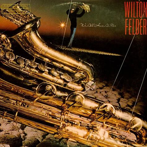 Wilton Felder - We All Have A Star