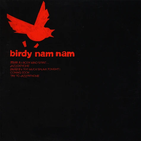 Birdy Nam Nam - Body Mind Spirit
