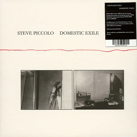 Steve Piccolo - Domestic Exile