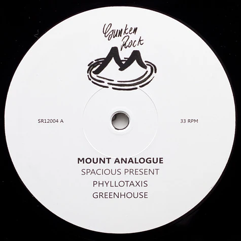 Mount Analogue - Spacious Present