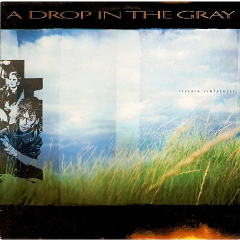 A Drop In The Gray - Certain Sculptures