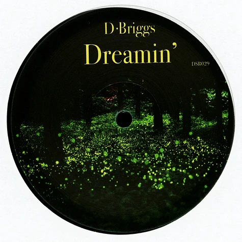 D Briggs - Dreamin'