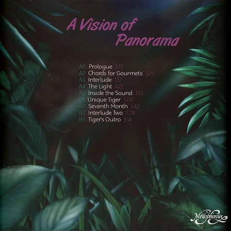 A Vision Of Panorama - Unique Tiger