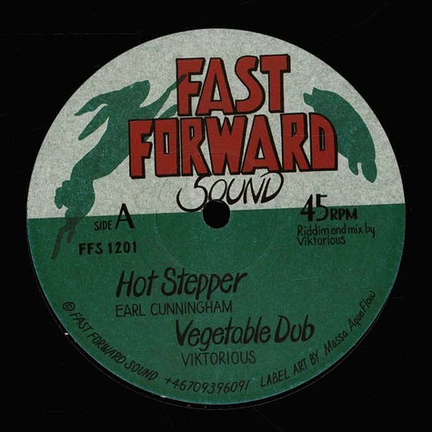 Earl Cunningham, Viktorius / Crock Back, Viktorius - Hot Stepper, Dub / Lyrics Fiesta, Version