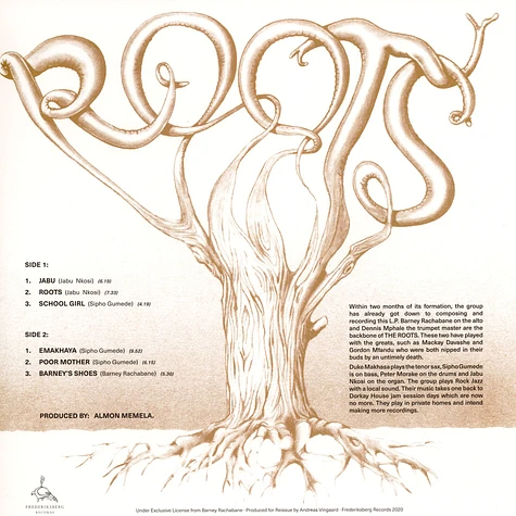 Roots (Barney Rachabane) - Roots