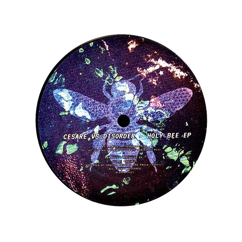 Cesare Vs Disorder - Holy Bee EP