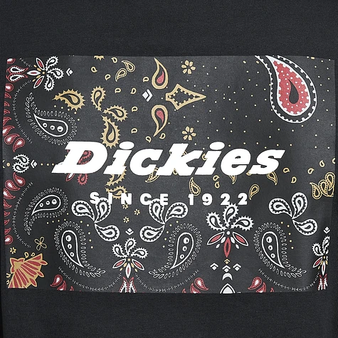 Dickies - Reworked Tee SS