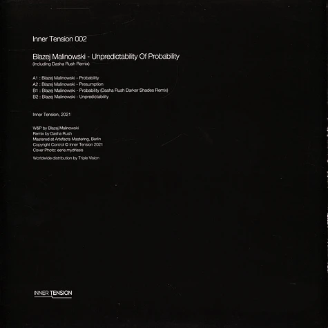 Blazej Malinowski - Unpredictability Of Probability Dasha Rush Remix