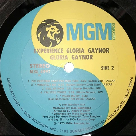 Gloria Gaynor - Experience