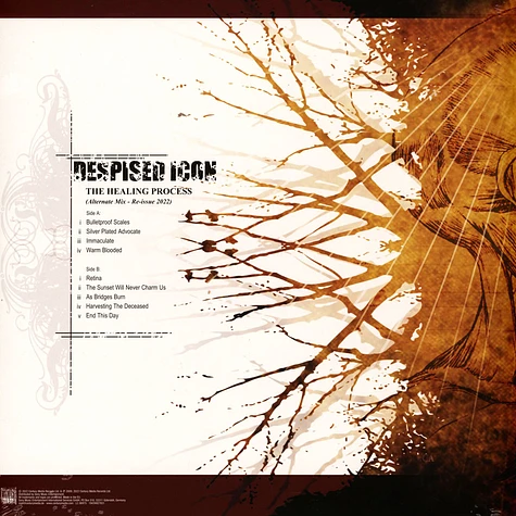Despised Icon - The Healing Process Alternate Mix Re-Issue + Bonus