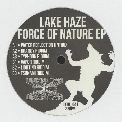 Lake Haze - Force Of Nature