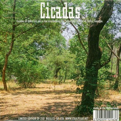 nula.cc - Bells / Cicadas