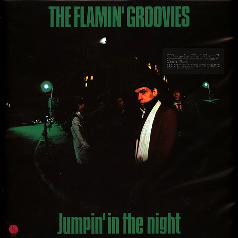 Flamin' Groovies - Jumpin' In The Night