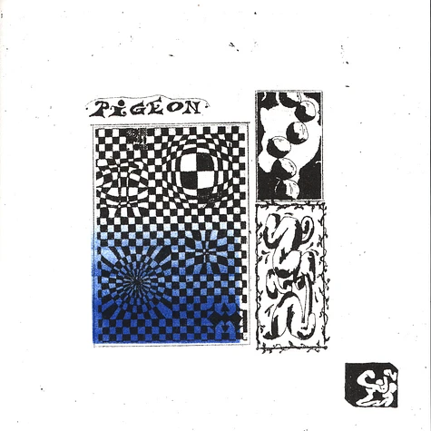 Pigeon - Piegon Pigeon - Piegon