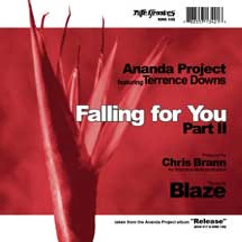 The Ananda Project Featuring Terrance Downs - Falling For You (Part II)