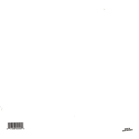 Santigold - Spirituals Picture Disc Edition
